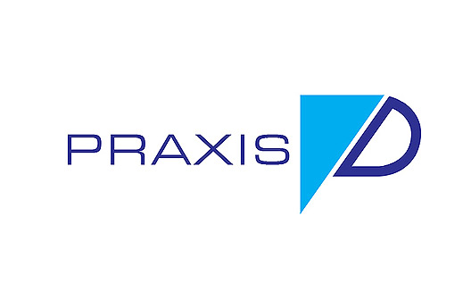 praxis logo design pune